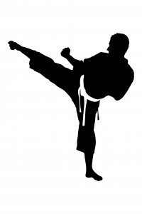 Karate for Kids Registration is now Open