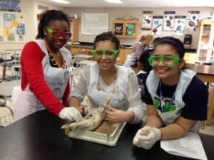 AP Biology Students Get a Hands on Lesson!