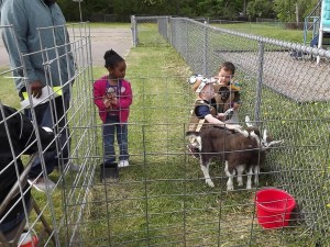 Learning Community Students Celebrate Farm Day