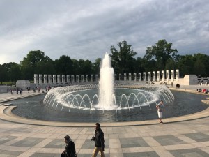 IMG_8537